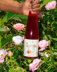 Binner Si Rose  Pinot Gris Alsace France  natural Orange Wine