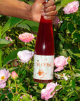 Binner Si Rose Pinot Gris Alsace France natural Orange Wine