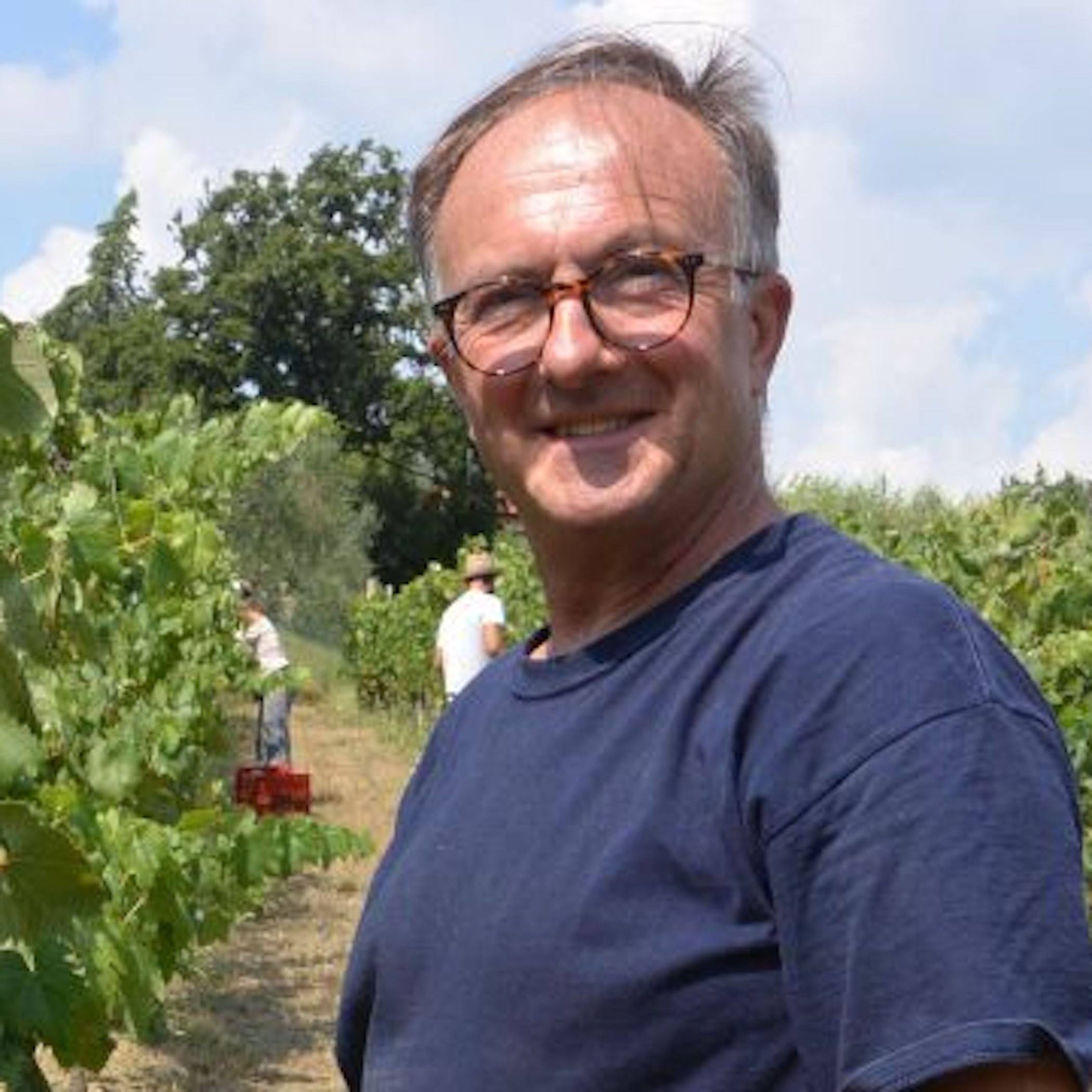 Arcipressi Rosso | Fabbrica di San Martino | MYSA Natural Wine