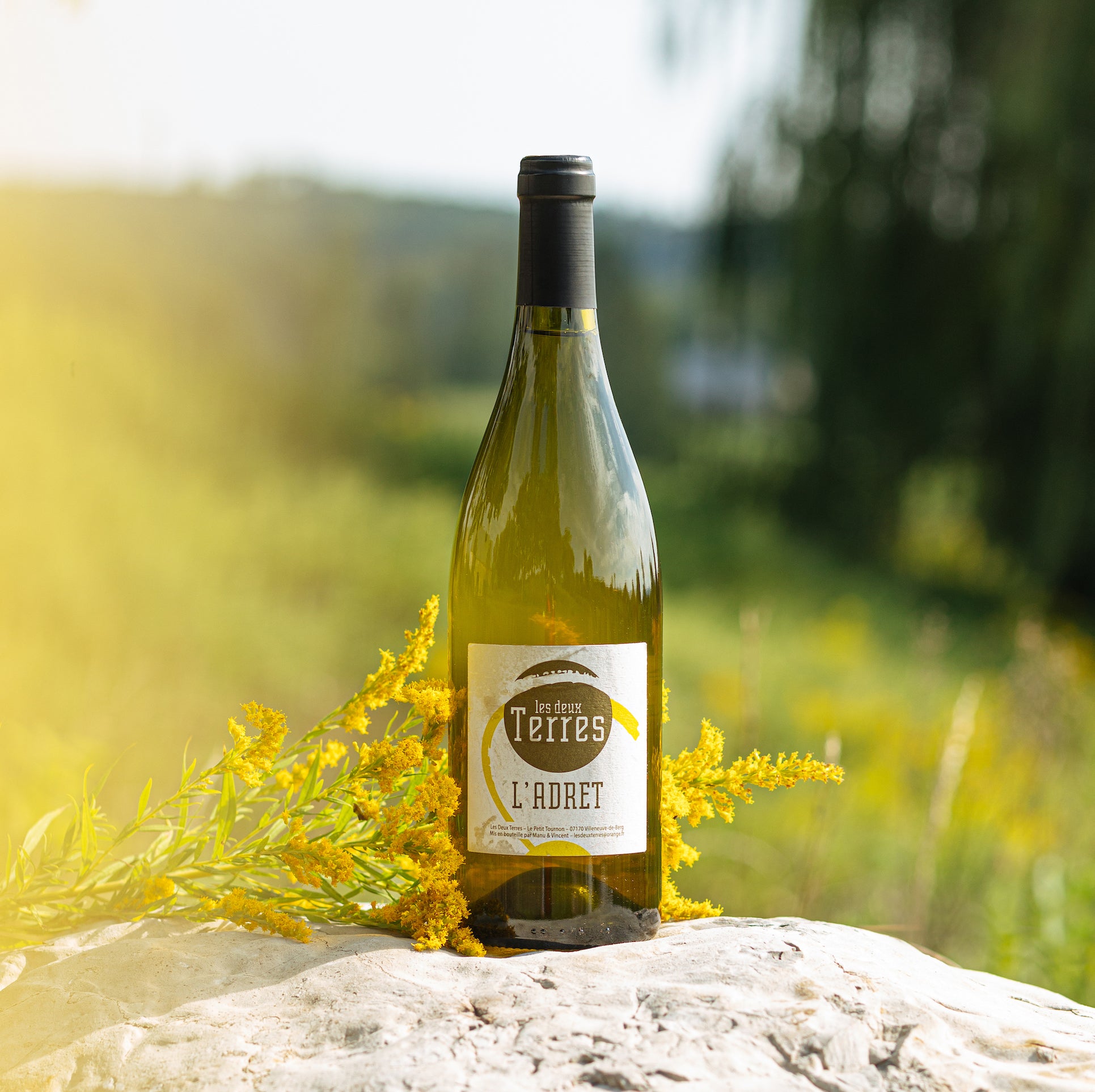 Les Deux Terres L&#39;Adret Viognier natural white wine