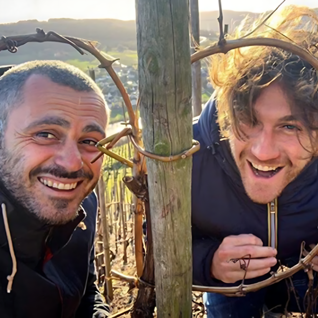 ROSSO ロッソ Rosso Carbo | Lammidia | MYSA Natural Wine