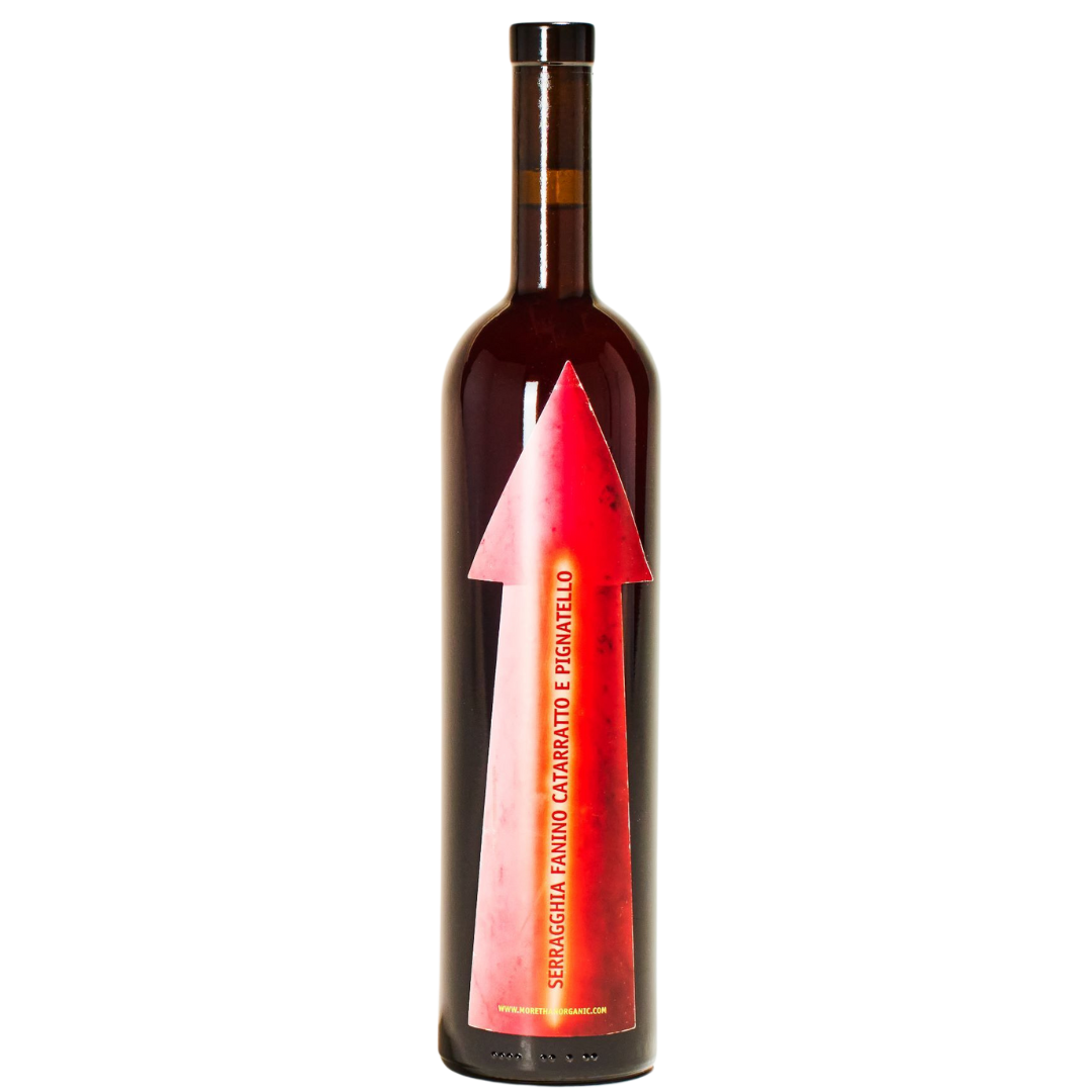 ensou gabrio bini イベント限定 エンソウ atelier103 fanino-gabrio-bini-natural-red