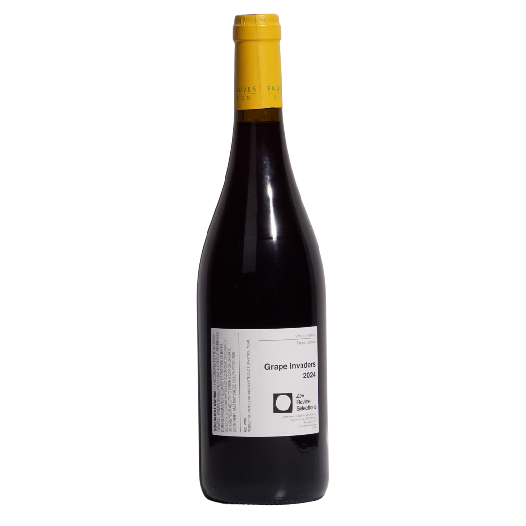 Grape Invaders VDF Red | Fabien Jouves | MYSA Natural Wine