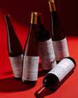 Christian Tschida natural wine bottles collection including Himmel auf Erden and Birdscape from Burgenland Austria on red background for Mysa Natural Wine