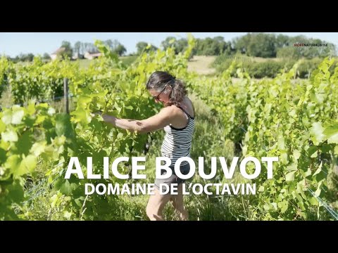 muscatページ Mus'Cat | Domaine de l'Octavin | MYSA Natural Wine