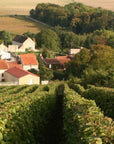 andre-heucq-vineyard