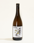 Catarratto Sergio Drago natural white wine Sicily Italy front