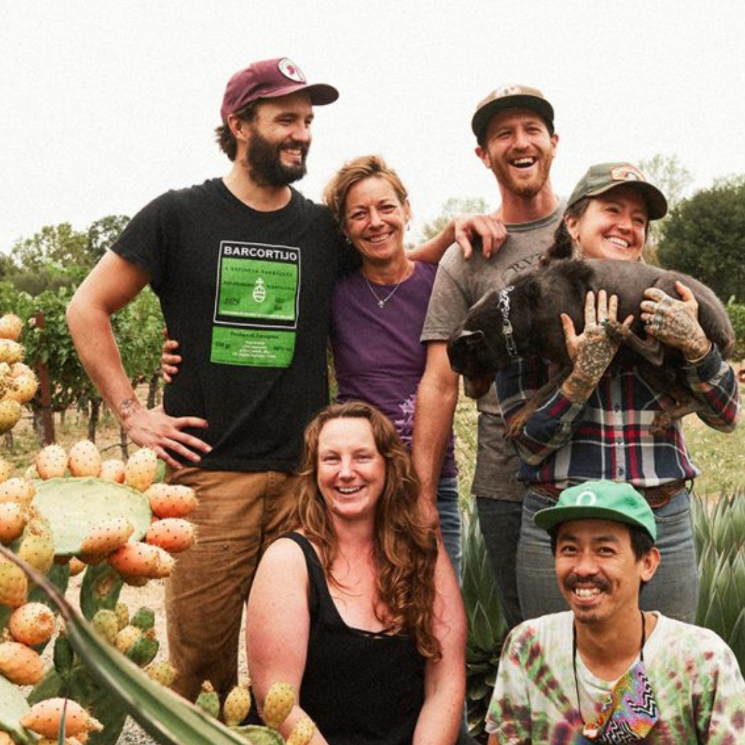 Merlo | Dan Marioni | MYSA Natural Wine