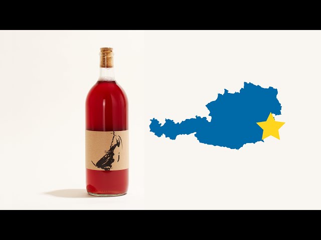 サイユイ・インク・バイオレットレッド Zini | Ziniel | MYSA Natural Wine