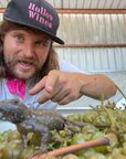 hollow-wines-winemaker