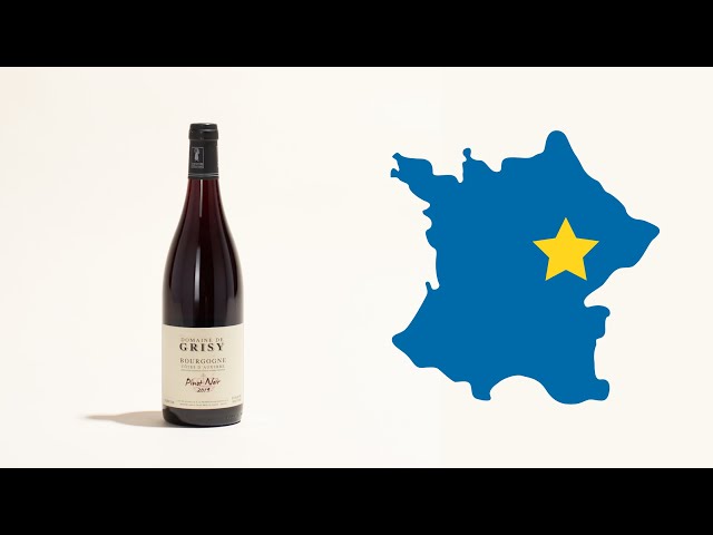 Domaine de Grisy Bourgogne Rouge – Grain & Vine