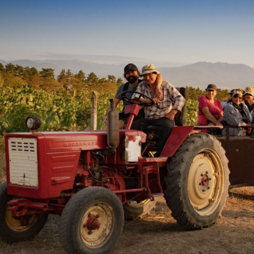 Why R U here? | Ocho | MYSA Natural Wine
