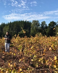 roberto-henriquez-vineyard