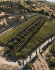 škegro vineyard