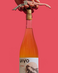UIVO Curtido Folias de Baco Orange White buy natural wines online