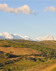cirelli vineyard italy
