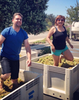 amplify wines winemaker