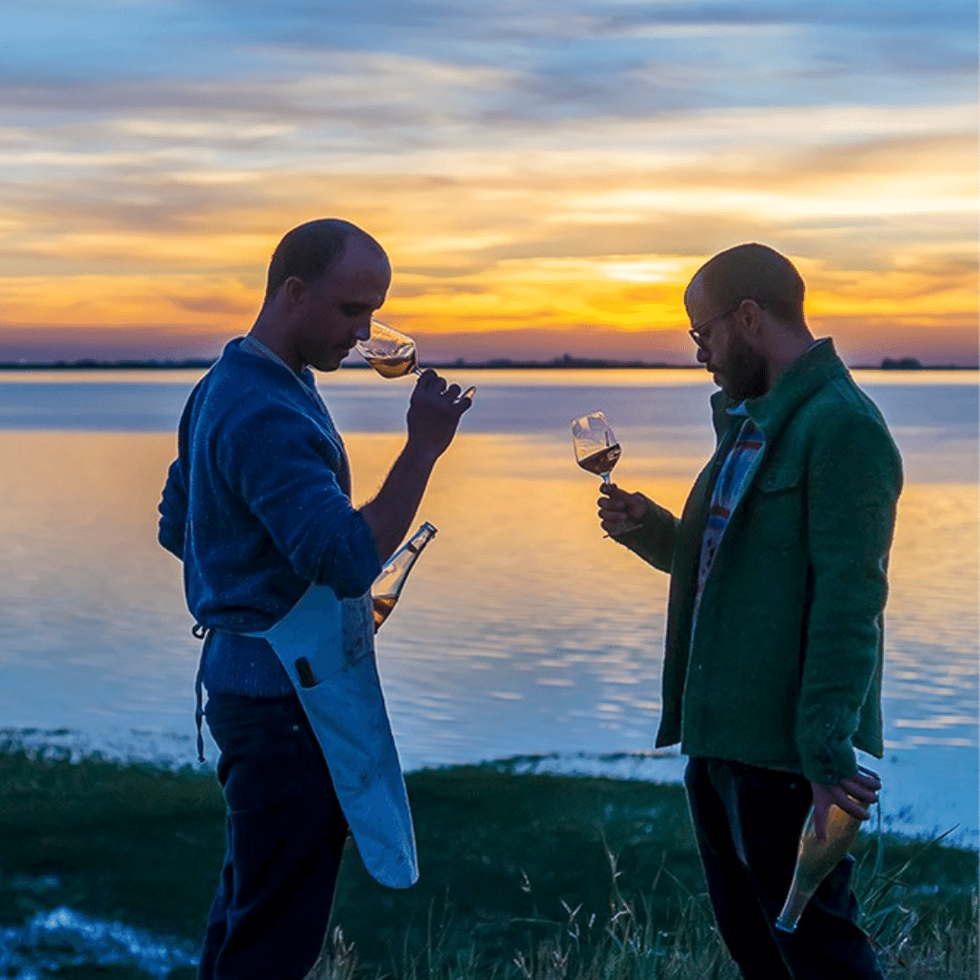 Cádiz Amorro Blanco | Bodega Vinificate | MYSA Natural Wine