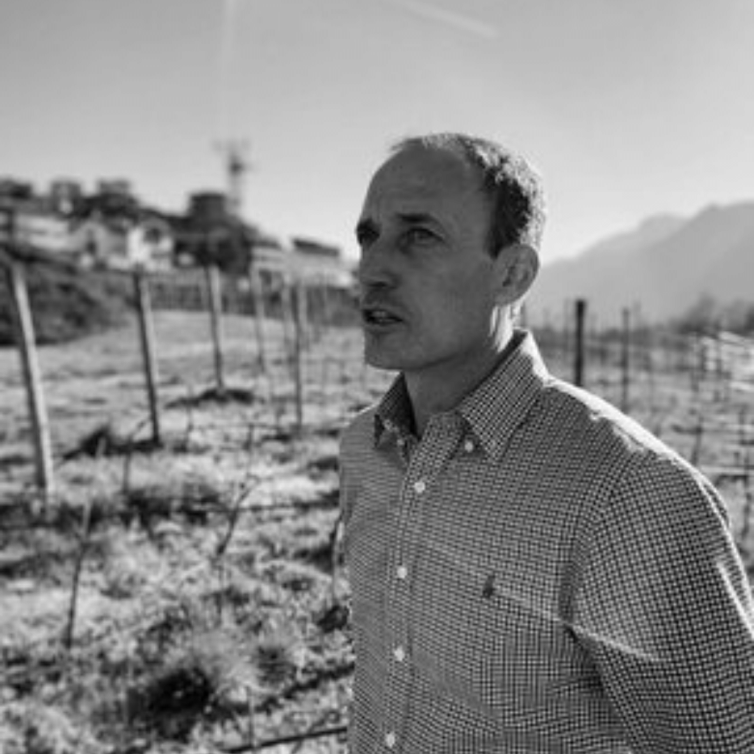 Altopiano Orange | Cantina Furlani | MYSA Natural Wine