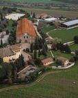 conestabile della staffa vineyard
