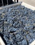 cruse wines vineyard
