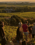 Domaine Hoppenot Winemaker Beaujolais France
