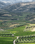 douloufakis vineyard