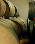 flat brim wines vineyard