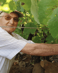 fronton de oro winemaker