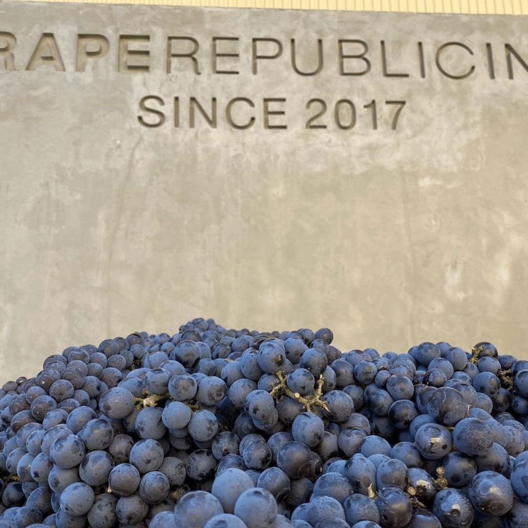 Cuvée Shinden Yamagata | Grape Republic | MYSA Natural Wine