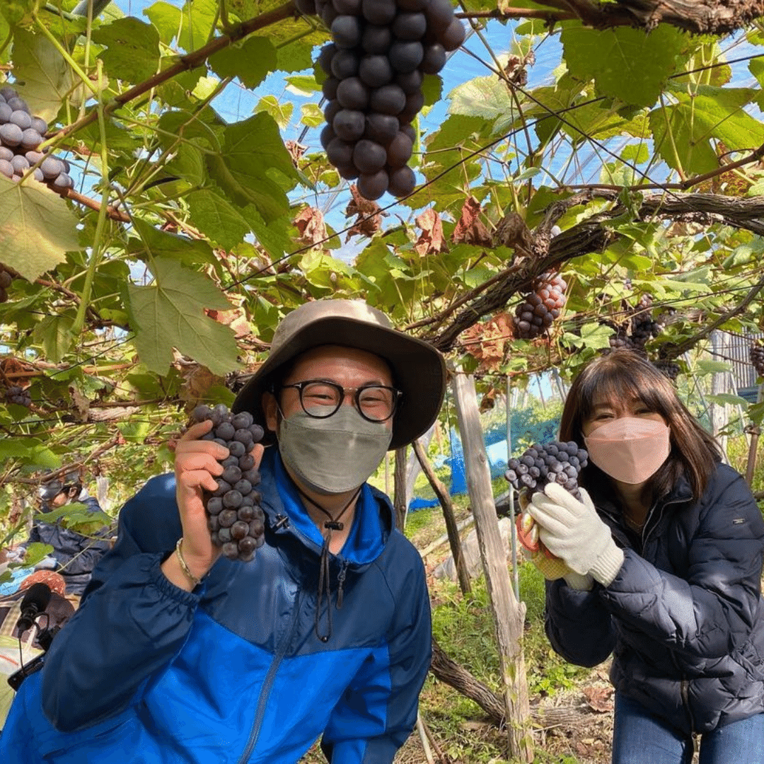 Cuvée Shinden Yamagata | Grape Republic | MYSA Natural Wine
