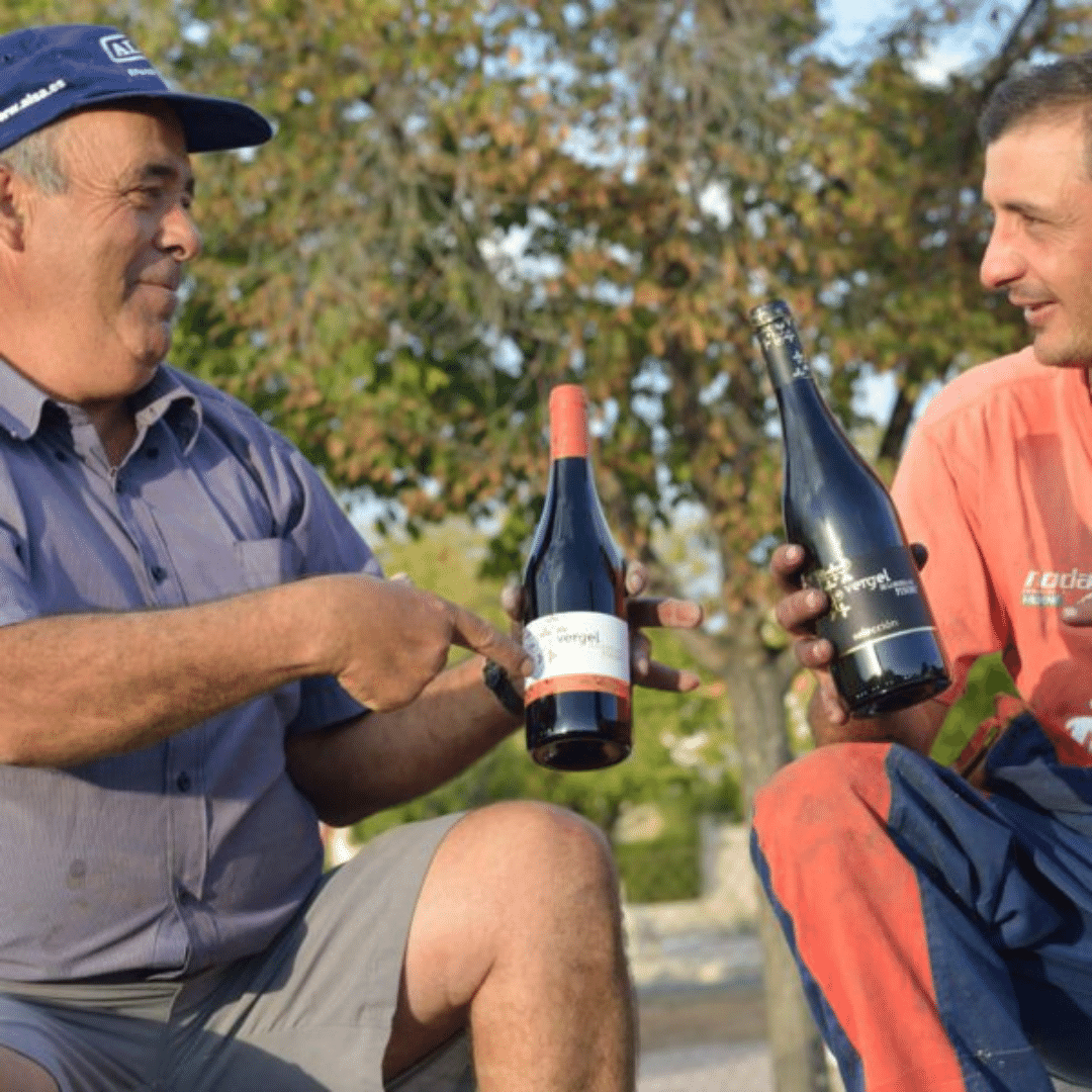 Zillamina Red | Bodegas Pinoso | MYSA Natural Wine