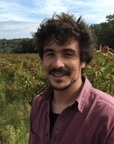 les vignes dolivier winemaker languedoc france
