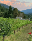 miles garrett vineyard