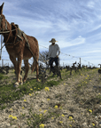 muchada leclapart vineyard