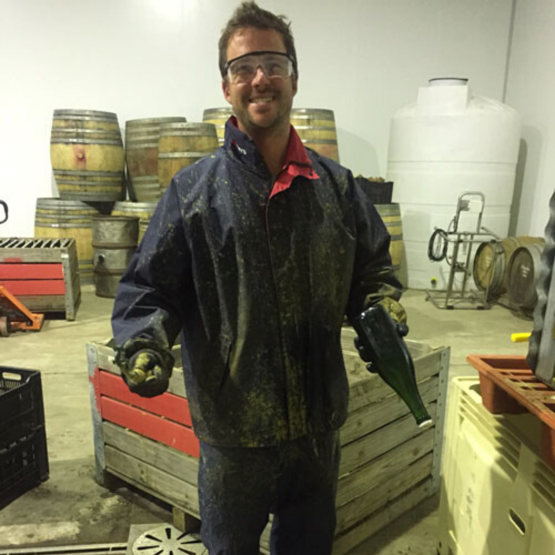 I am the Ninja | Testalonga | MYSA Natural Wine