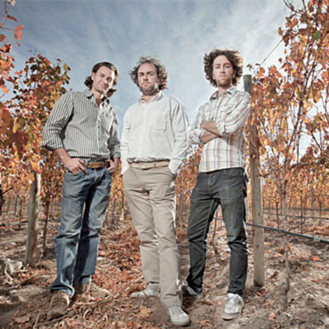 Terroir Unico Malbec | Zorzal | MYSA Natural Wine