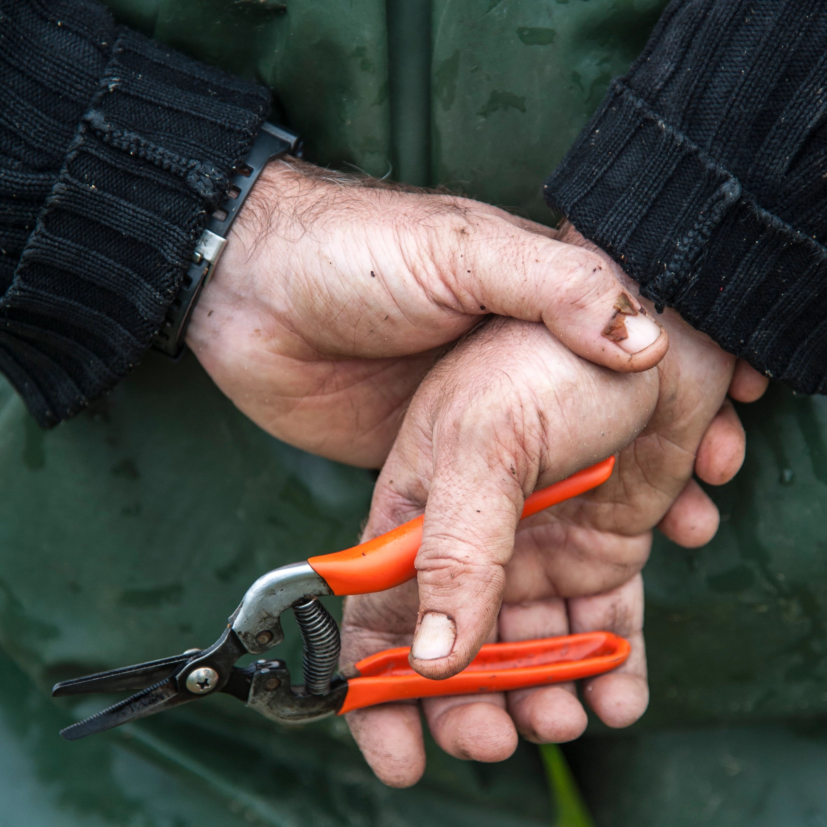 The Natural Winemaker’s Toolkit