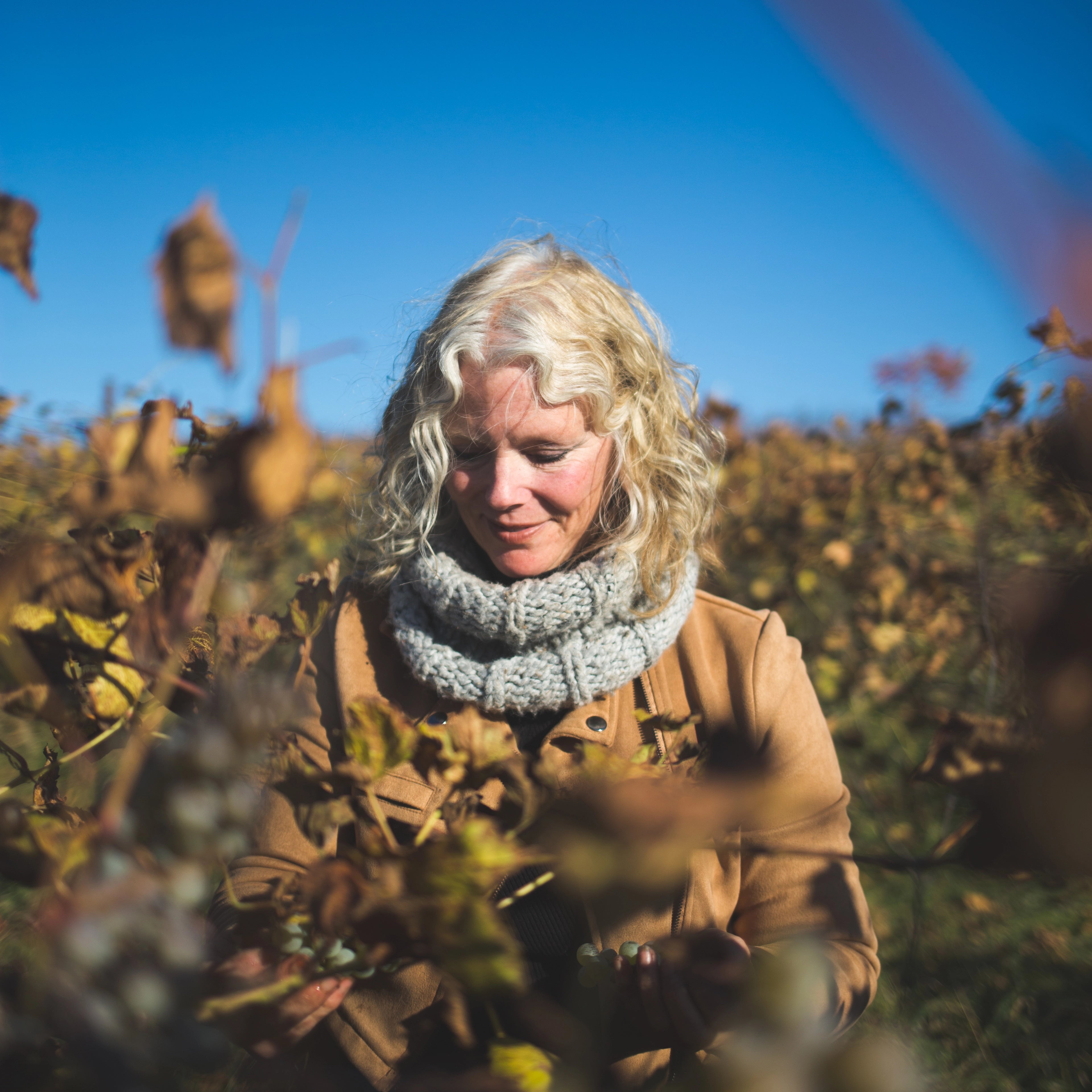 Meet Vermont's Hybrid-Grape Guru