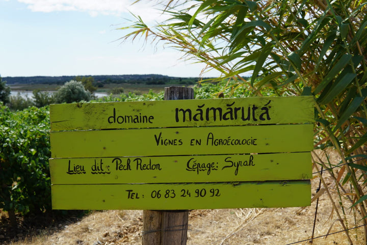 A Visit with Marc Castan at Domaine Mamaruta