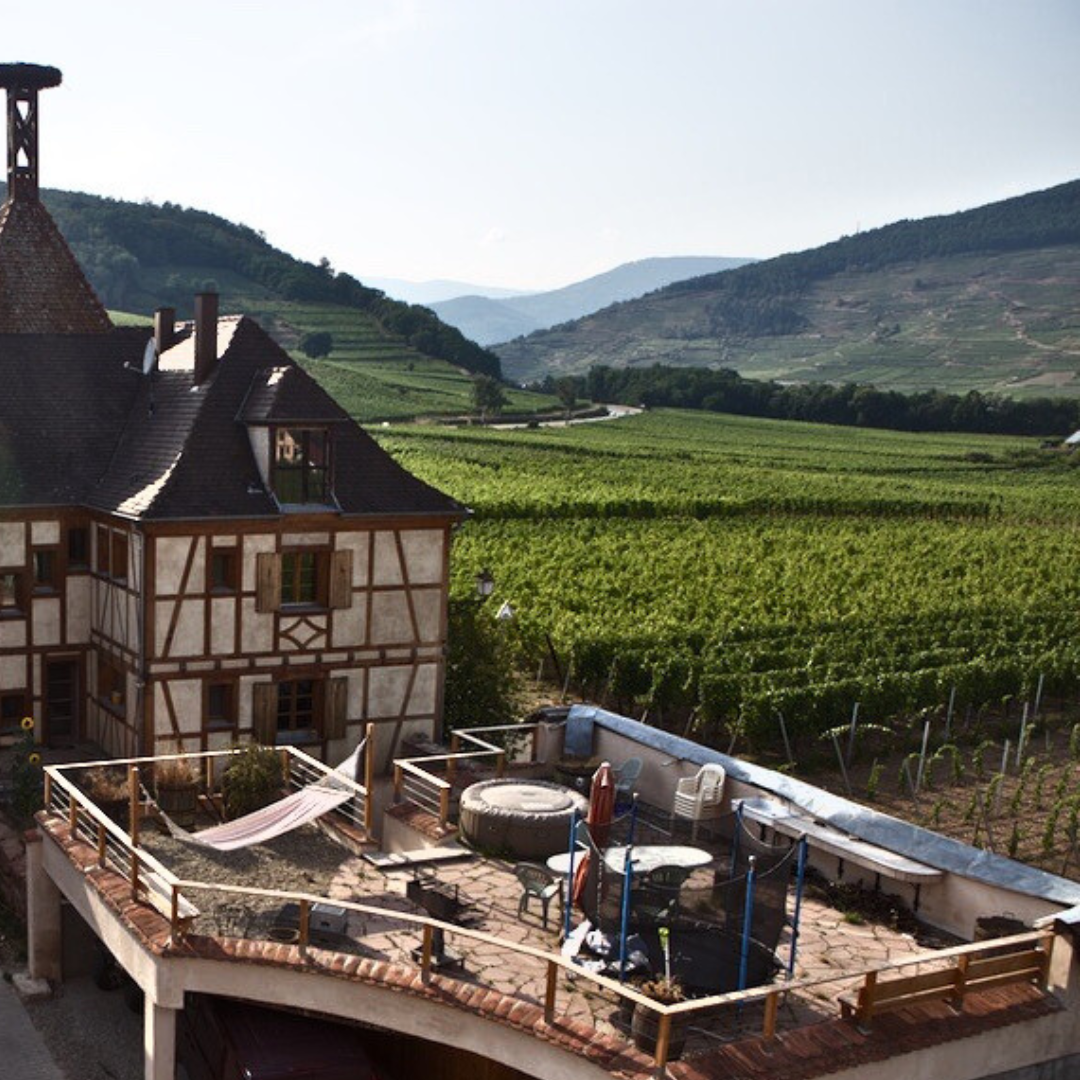 Natural Alsace Wines – Riesling, Pinot Gris, Gewürztraminer