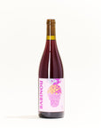 babinou-no-control-natural-Red-wine-Auvergne-France