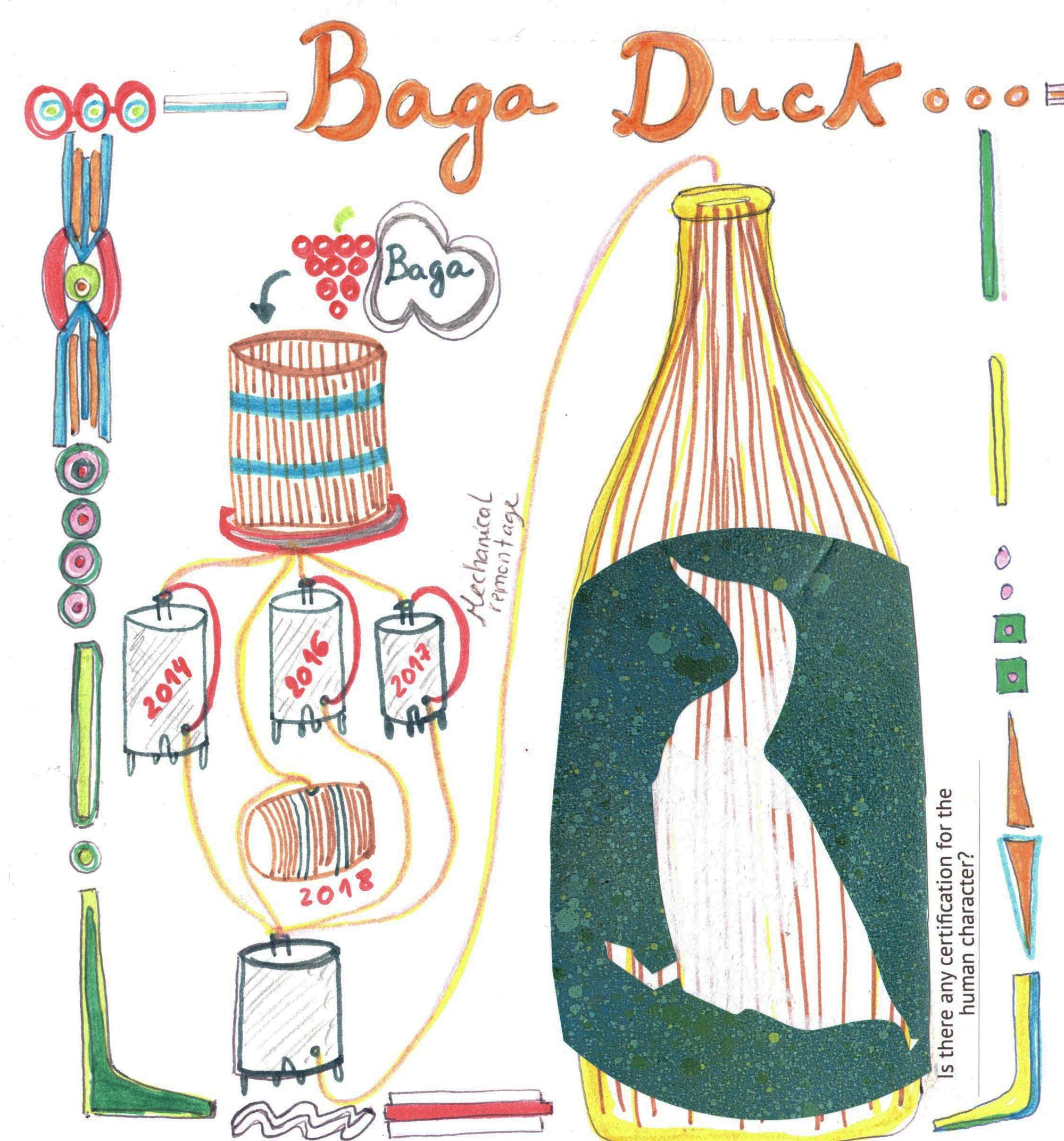 Baga Duck Illustration