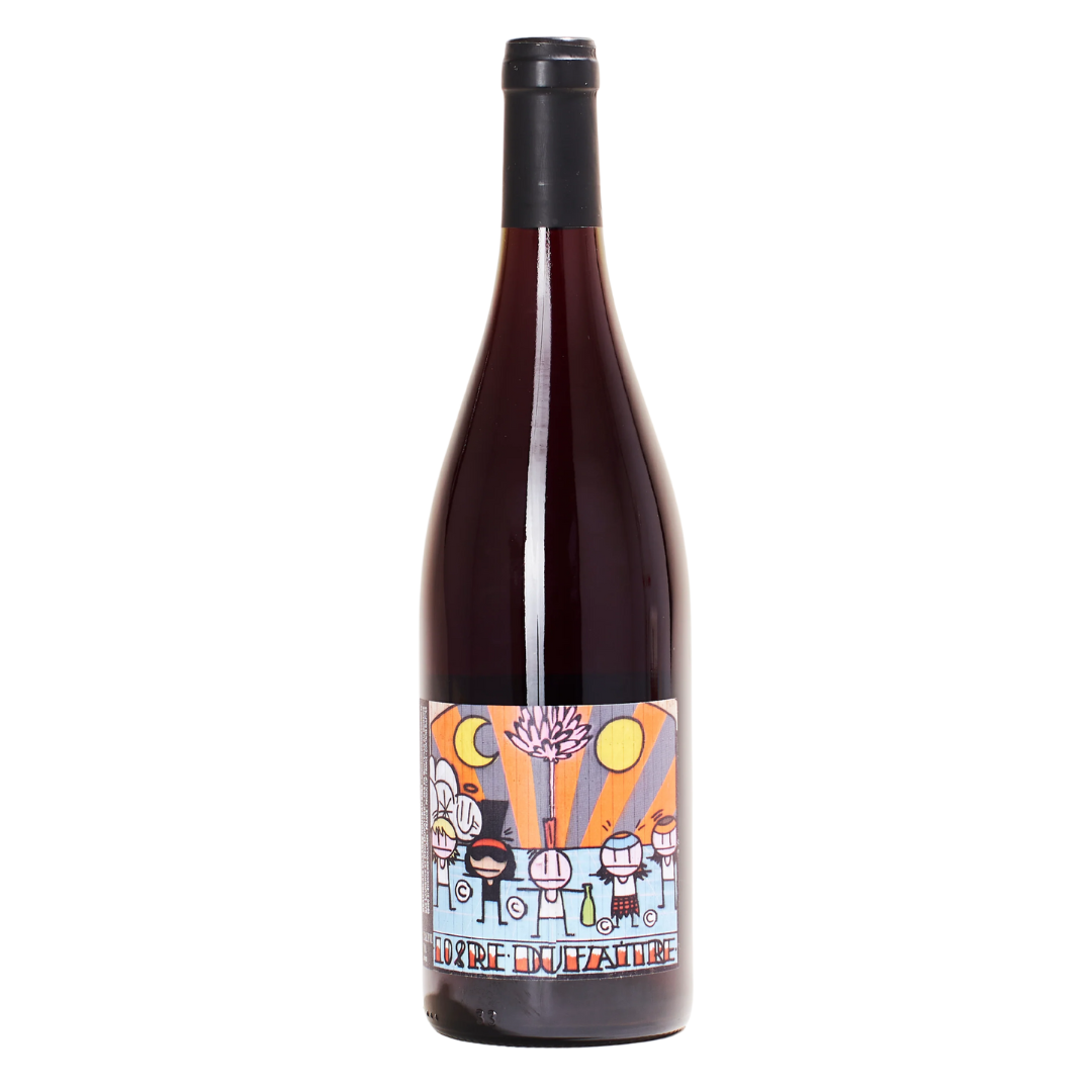 Beaujolais Villages Nouveau 2024 front