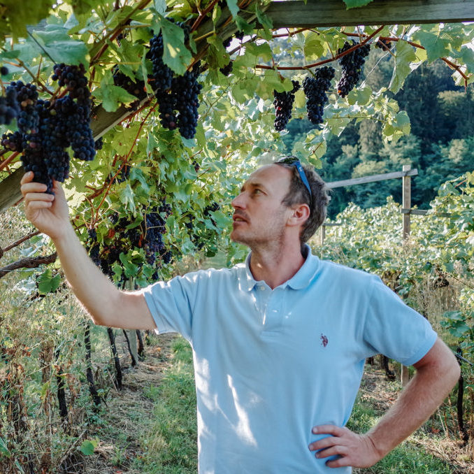 Altopiano Orange | Cantina Furlani | MYSA Natural Wine