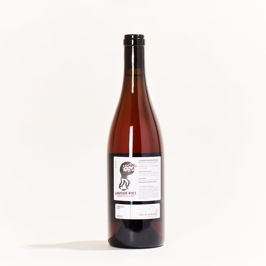Dolores Cabrera La Araucaria Rosado Listan Negro natural Rosé wine Canary Islands Spain back label