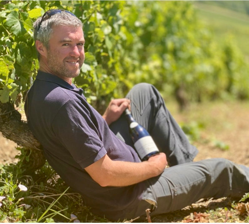 Bourgogne Côtes d'Auxerre Pinot Noir | Domaine Bersan | MYSA