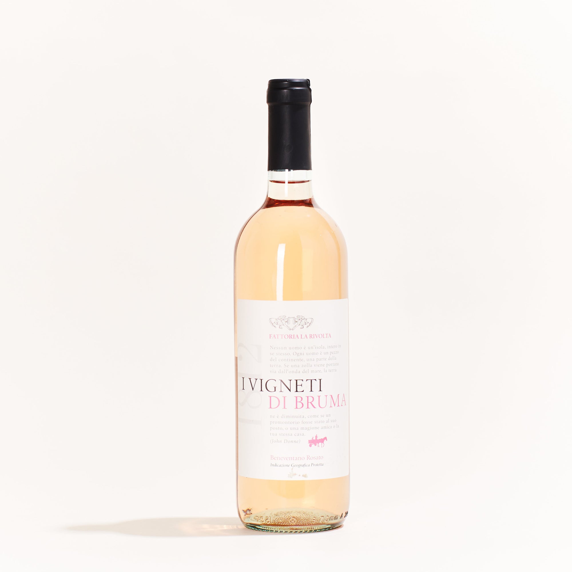 Fattoria la Rivolta Aglianico Rose Aglianico natural Rosé wine Campania Italy