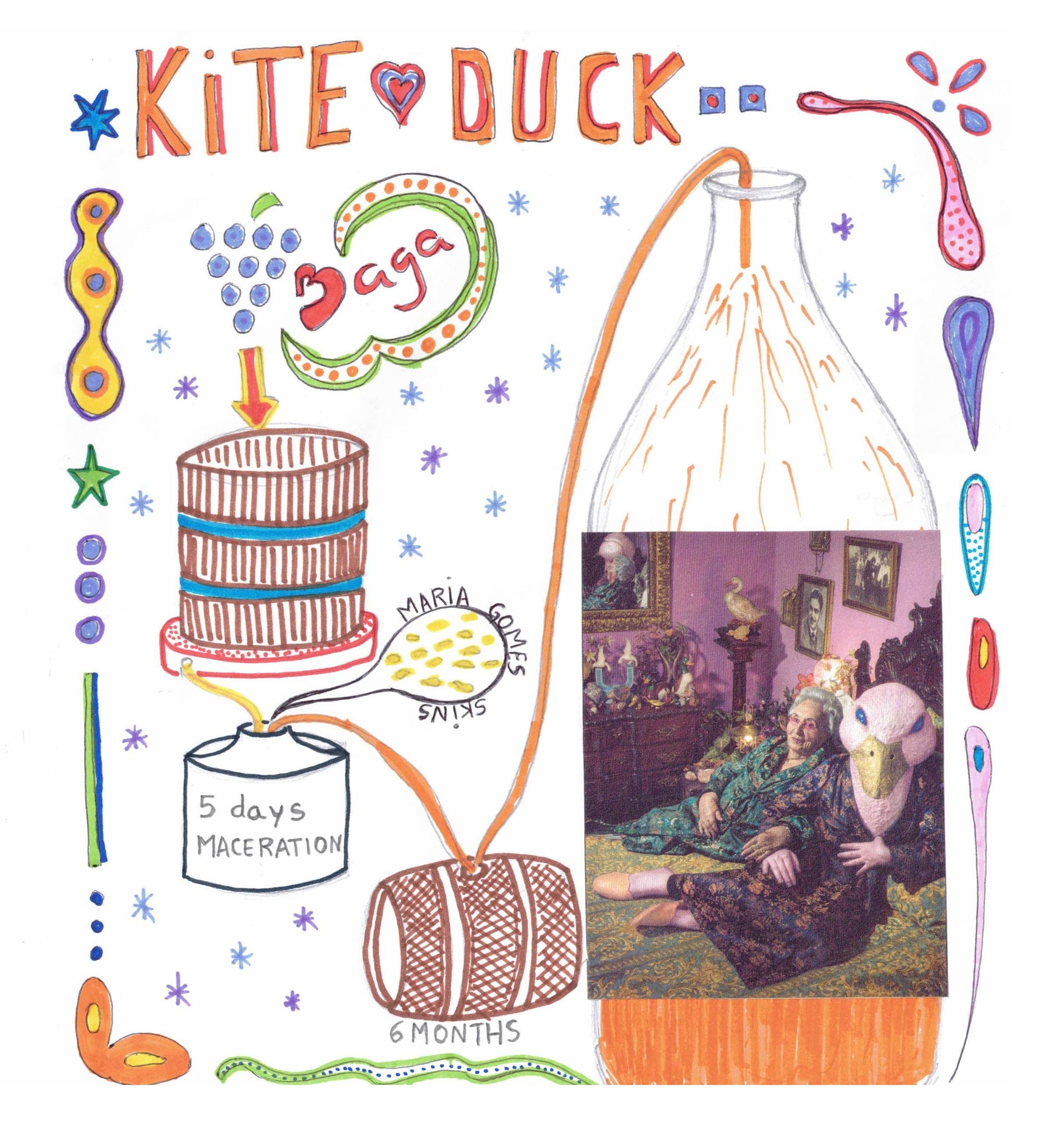 kite duck infographic