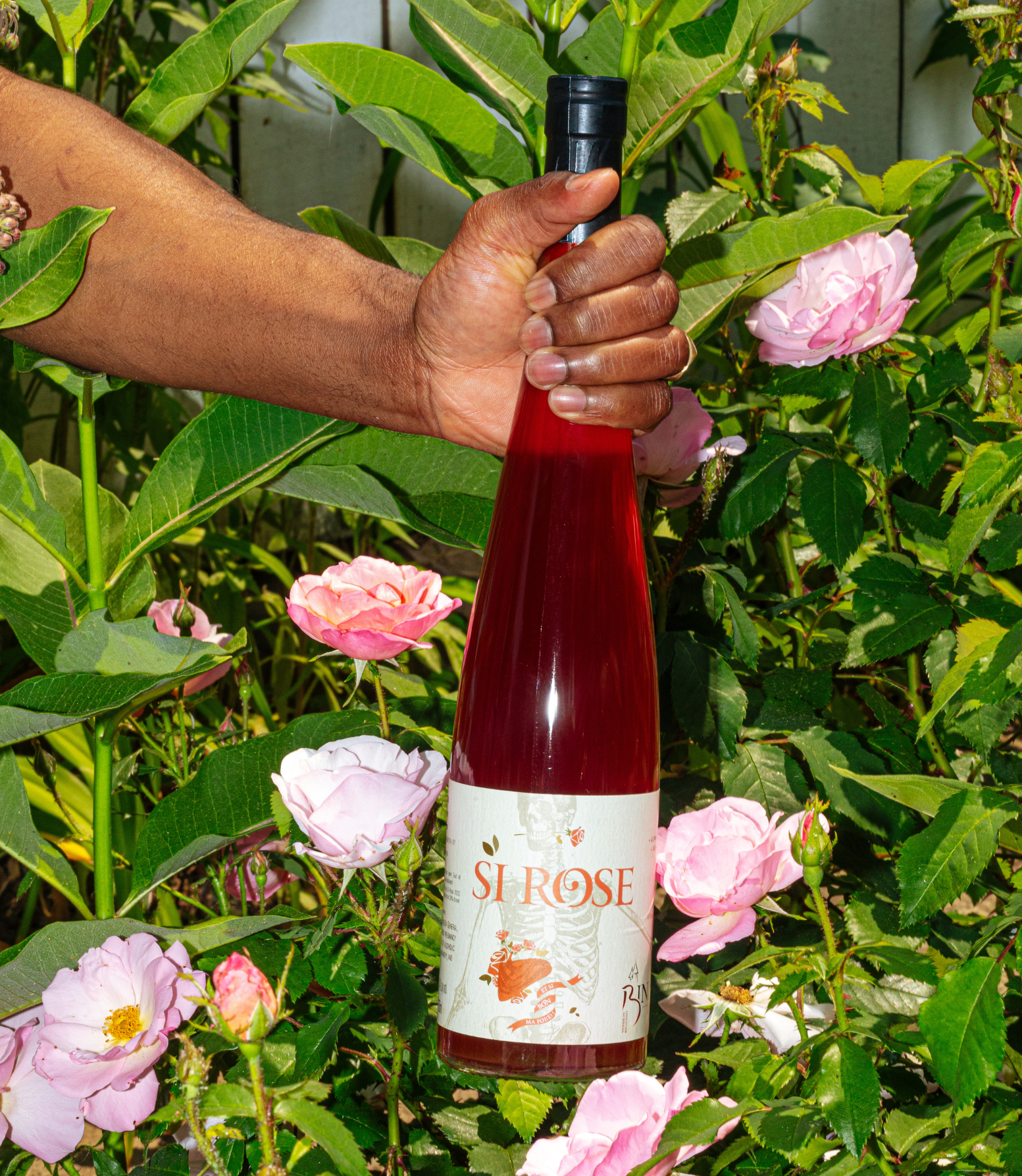 MYSA May 2026 Natural Wine 
Club